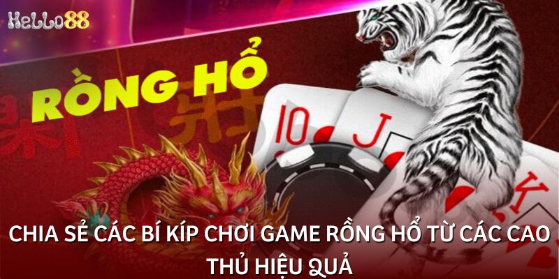 Chia sẻ các bí kíp chơi game Rồng Hổ từ các cao thủ hiệu quả